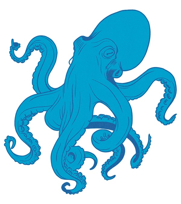 blue octopus illustration