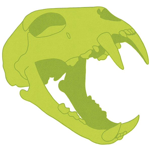 green tiger skull illustration