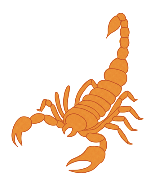 orange scorpion illustration